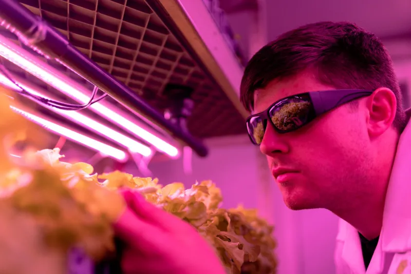 Growing Up: 7 Vertical Farming Breakthroughs Quietly Rewiring America's Food Future