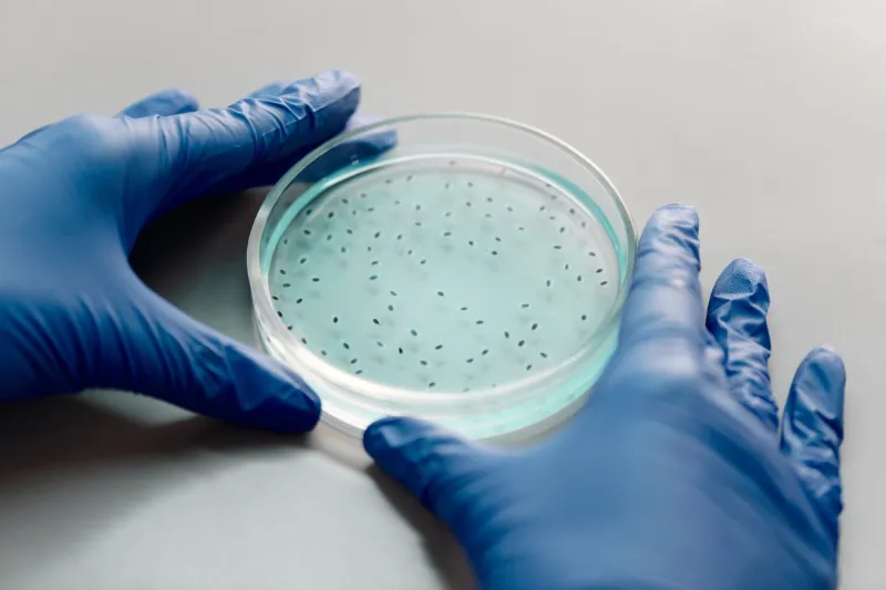 Consumed From Within: The Biological Recycling Revolution Targeting America's Plastic Crisis