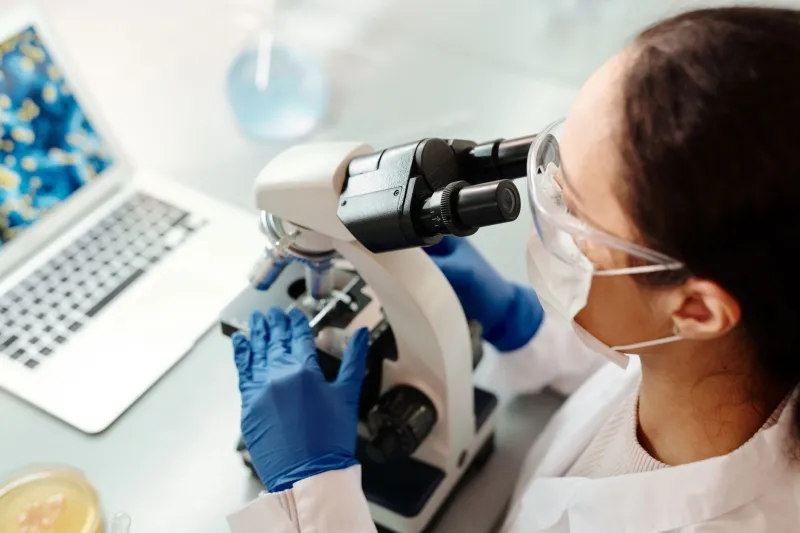 Reprogrammed Defenses: How America's Immunoengineers Are Turning the Body Into Its Own Most Powerful Medicine