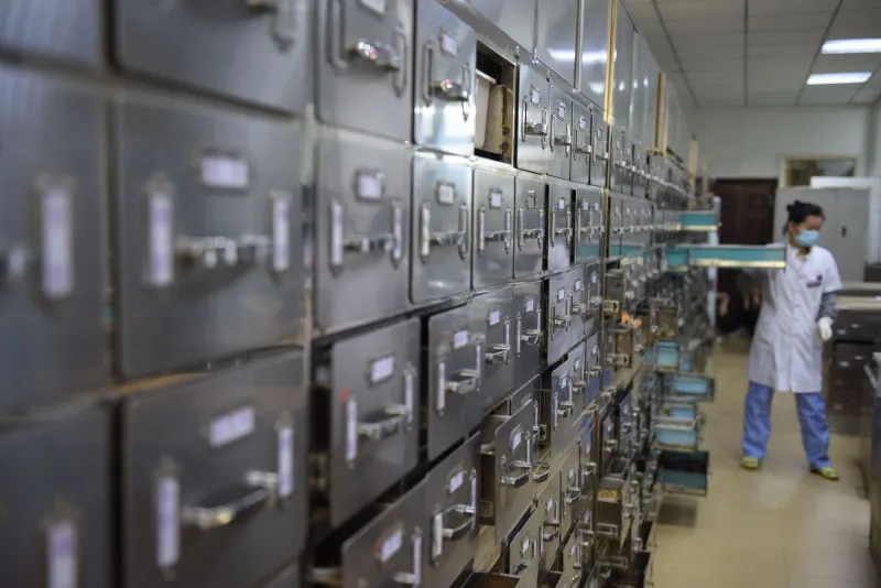Seeds for a Decade We Can't Predict: Inside America's Living Archive of Crop Diversity